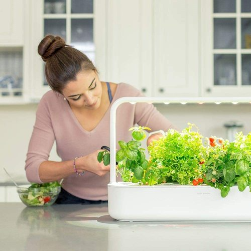 Smart Garden to Grow Fresh and Healthy Produce Indoors